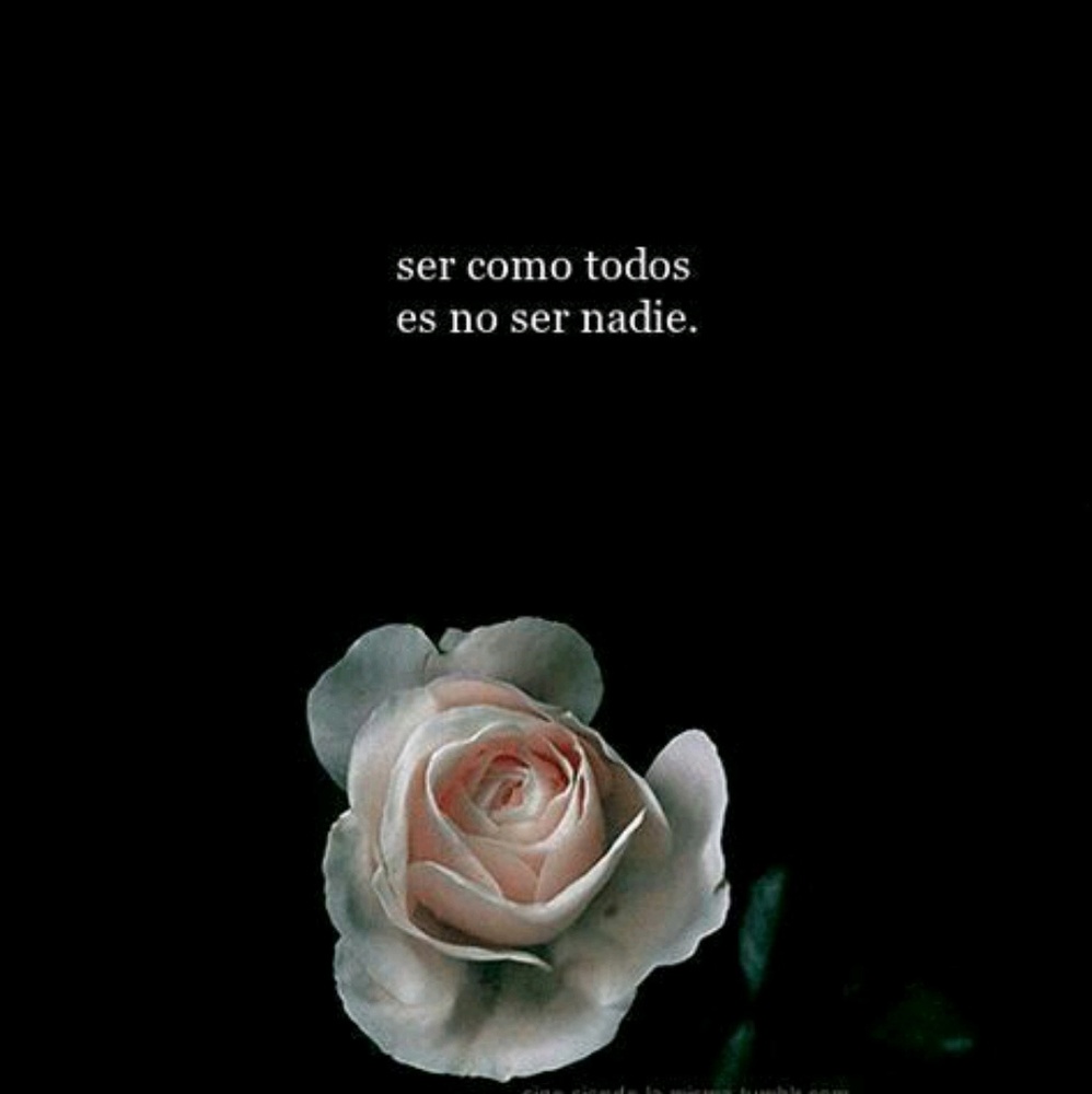 Meet your Posher, Karina